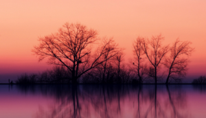 巅峰对决，热血铸就传奇——全力以赴，为胜利而生