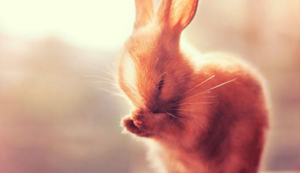 巅峰对决，热血铸就传奇——全力以赴，为胜利而生