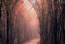 爱游戏在线登录-雄鹿信使程兰太:绘出时代的壮丽记忆