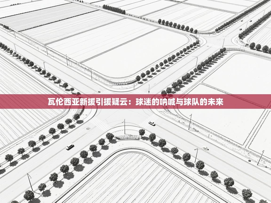 瓦伦西亚新援引援疑云：球迷的呐喊与球队的未来  第2张