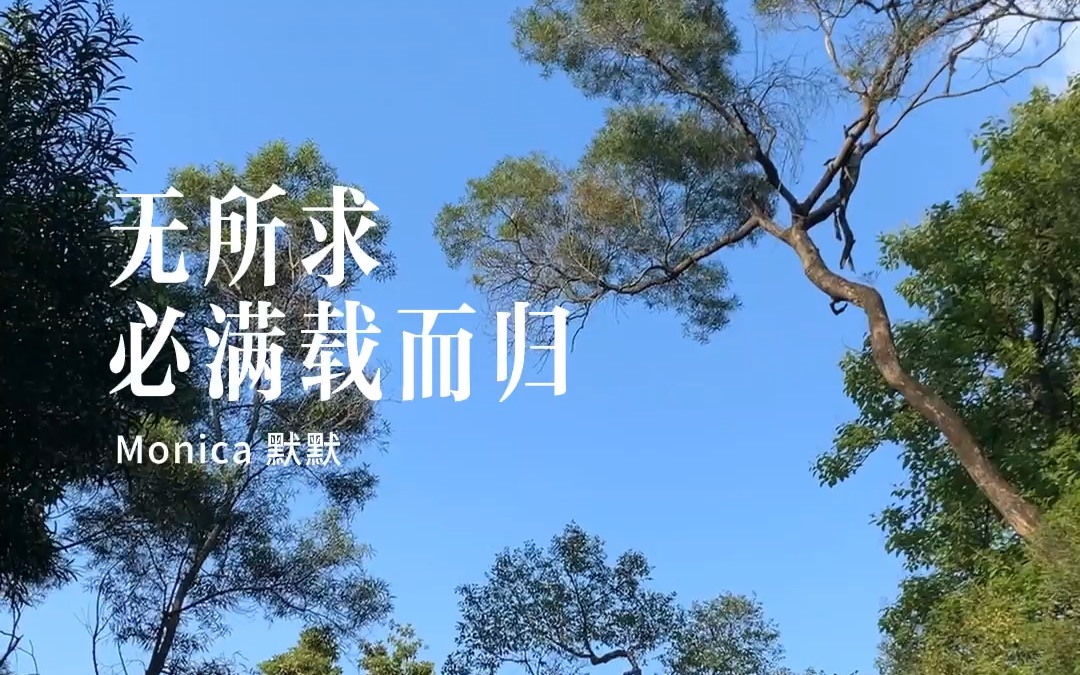 波斯比满载而归,力挽狂澜夺取胜利 波斯比满载而归,力挽狂澜夺取胜利